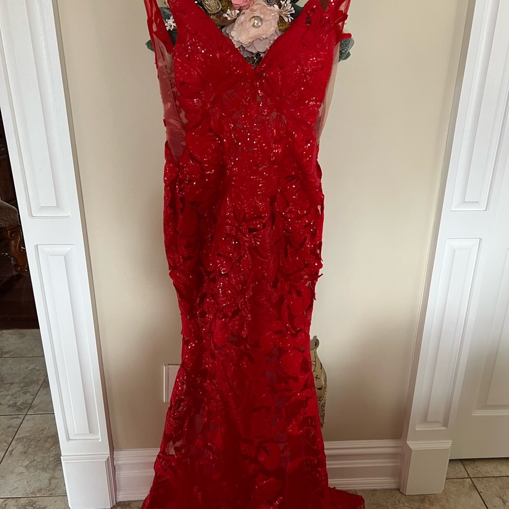 Prom / Formal Gown